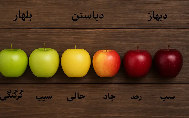 انواع سیب و زمان رسیدن آنها در ایران