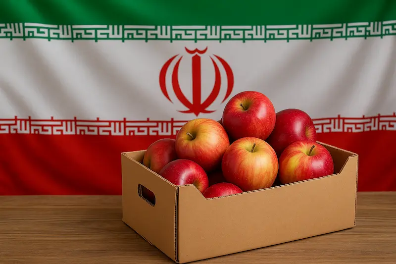 صادرات سیب سمیرم