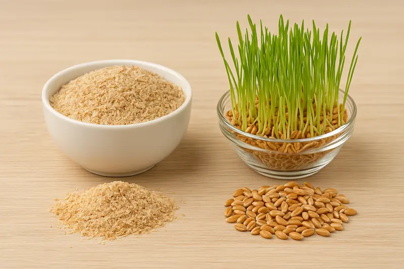 مقایسه کامل سبوس برنج و جوانه گندم؛ کدام مفیدتر است؟
