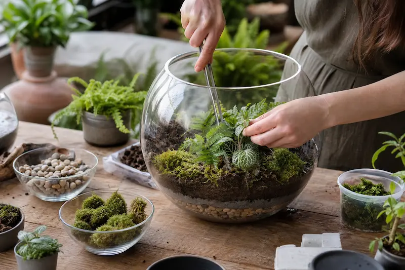 ساخت تراریوم شیشه‌ای