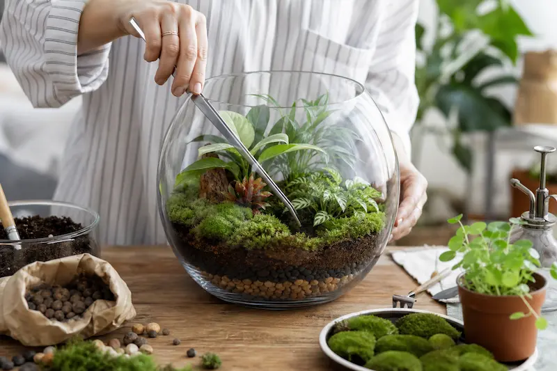آموزش ساخت تراریوم شیشه ای