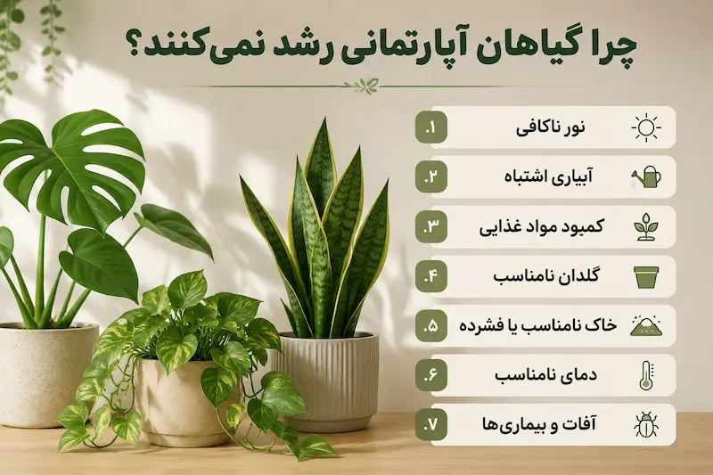 از کجا بفهمیم گیاه واقعاً رشد نمی‌کند؟